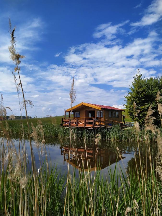 #mazurywildlife * Gizycko