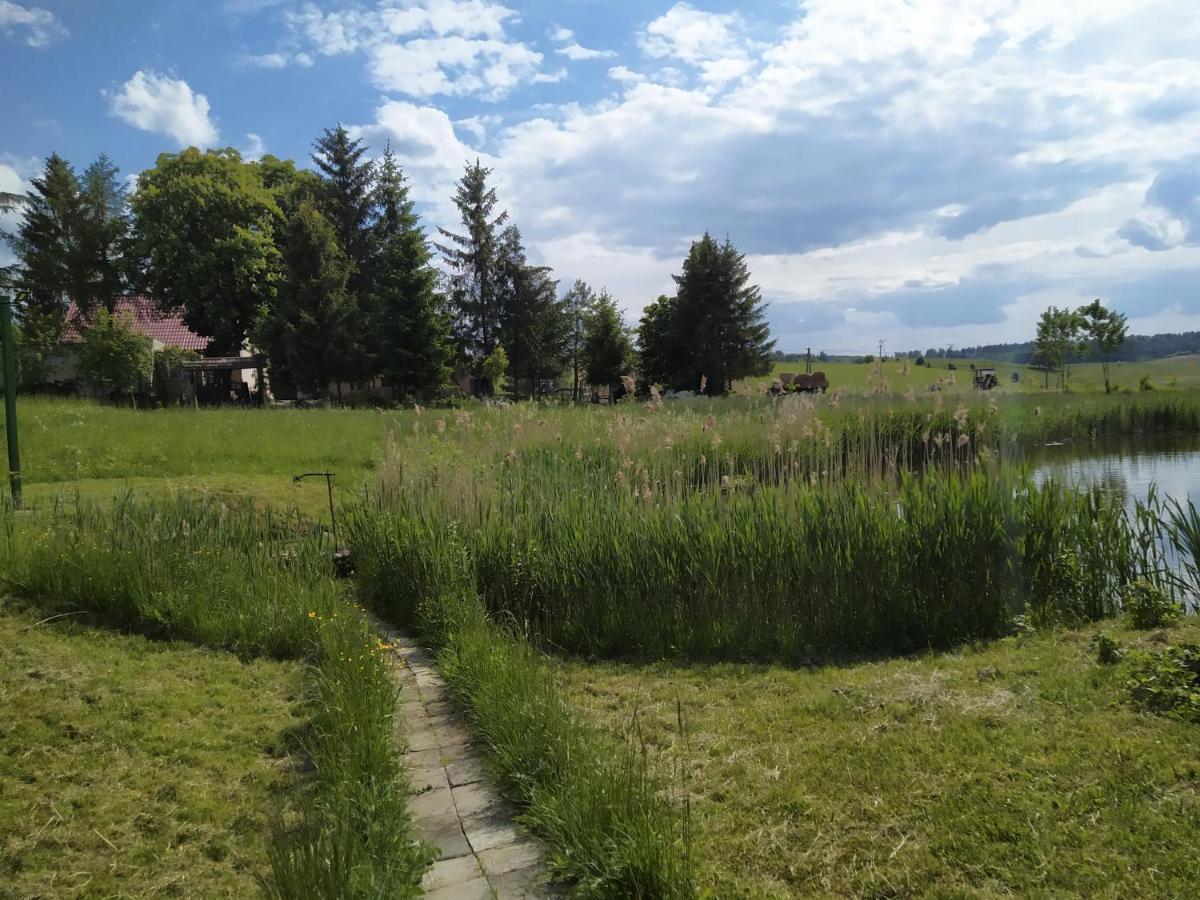 #mazurywildlife Gizycko