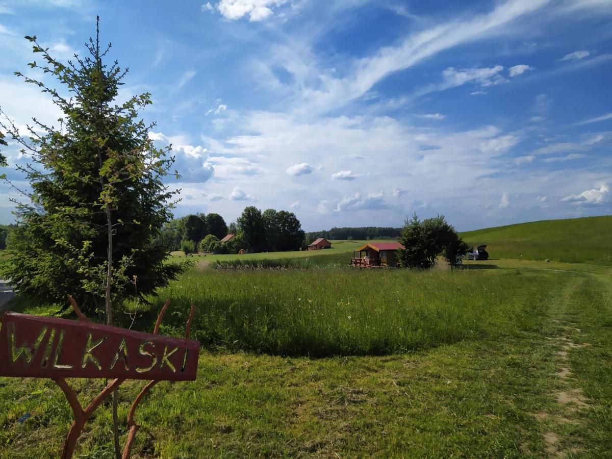 #mazurywildlife * Gizycko